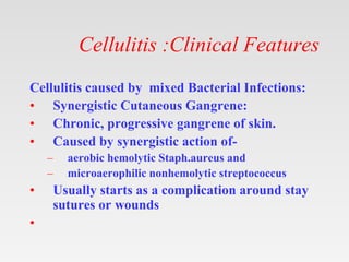 Cellulites [ compatibility mode].pptx