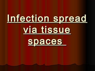 Infection spreadInfection spread
via tissuevia tissue
spacesspaces
 