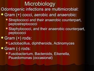 MicrobiologyMicrobiology
Odontogenic infections are multimicrobial:Odontogenic infections are multimicrobial:
Gram (+) cocci, aerobic and anaerobic:Gram (+) cocci, aerobic and anaerobic:
Streptococci and their anaerobic counterpart,Streptococci and their anaerobic counterpart,
peptostreptococcipeptostreptococci
Staphylococci, and their anaerobic counterpart,Staphylococci, and their anaerobic counterpart,
peptococcipeptococci
Gram (+) rods:Gram (+) rods:
Lactobacillus, diphtheroids, ActinomycesLactobacillus, diphtheroids, Actinomyces
Gram (-) rods:Gram (-) rods:
Fusobacterium, Bacteroids, Eikenella,Fusobacterium, Bacteroids, Eikenella,
Psuedomonas (occasional)Psuedomonas (occasional)
 