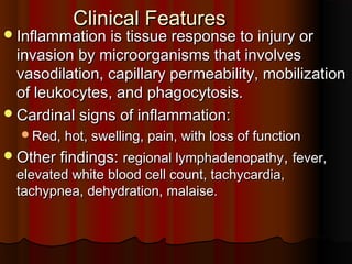Clinical FeaturesClinical Features
Inflammation is tissue response to injury orInflammation is tissue response to injury or
invasion by microorganisms that involvesinvasion by microorganisms that involves
vasodilation, capillary permeability, mobilizationvasodilation, capillary permeability, mobilization
of leukocytes, and phagocytosis.of leukocytes, and phagocytosis.
Cardinal signs of inflammation:Cardinal signs of inflammation:
Red, hot, swelling, pain, with loss of functionRed, hot, swelling, pain, with loss of function
Other findings:Other findings: regional lymphadenopathyregional lymphadenopathy,, fever,fever,
elevated white blood cell count, tachycardia,elevated white blood cell count, tachycardia,
tachypnea, dehydration, malaise.tachypnea, dehydration, malaise.
 