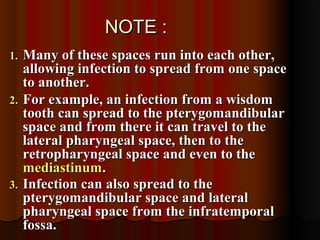 NOTE :NOTE :
1.1. Many of these spaces run into each other,Many of these spaces run into each other,
allowing infection to spread from one spaceallowing infection to spread from one space
to another.to another.
2.2. For example, an infection from a wisdomFor example, an infection from a wisdom
tooth can spread to the pterygomandibulartooth can spread to the pterygomandibular
space and from there it can travel to thespace and from there it can travel to the
lateral pharyngeal space, then to thelateral pharyngeal space, then to the
retropharyngeal space and even to theretropharyngeal space and even to the
mediastinummediastinum..
3.3. Infection can also spread to theInfection can also spread to the
pterygomandibular space and lateralpterygomandibular space and lateral
pharyngeal space from the infratemporalpharyngeal space from the infratemporal
fossa.fossa.
 