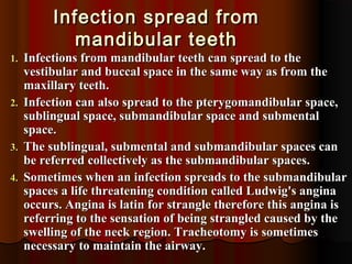 Infection spread fromInfection spread from
mandibular teethmandibular teeth
1.1. Infections from mandibular teeth can spread to theInfections from mandibular teeth can spread to the
vestibular and buccal space in the same way as from thevestibular and buccal space in the same way as from the
maxillary teeth.maxillary teeth.
2.2. Infection can also spread to the pterygomandibular space,Infection can also spread to the pterygomandibular space,
sublingual space, submandibular space and submentalsublingual space, submandibular space and submental
space.space.
3.3. The sublingual, submental and submandibular spaces canThe sublingual, submental and submandibular spaces can
be referred collectively as the submandibular spaces.be referred collectively as the submandibular spaces.
4.4. Sometimes when an infection spreads to the submandibularSometimes when an infection spreads to the submandibular
spaces a life threatening condition called Ludwig's anginaspaces a life threatening condition called Ludwig's angina
occurs. Angina is latin for strangle therefore this angina isoccurs. Angina is latin for strangle therefore this angina is
referring to the sensation of being strangled caused by thereferring to the sensation of being strangled caused by the
swelling of the neck region. Tracheotomy is sometimesswelling of the neck region. Tracheotomy is sometimes
necessary to maintain the airway.necessary to maintain the airway.
 