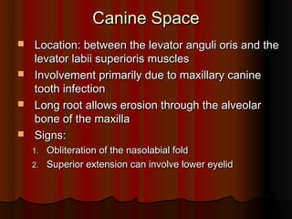 Canine SpaceCanine Space
 Location: between the levator anguli oris and theLocation: between the levator anguli oris and the
levator labii superioris muscleslevator labii superioris muscles
 Involvement primarily due to maxillary canineInvolvement primarily due to maxillary canine
tooth infectiontooth infection
 Long root allows erosion through the alveolarLong root allows erosion through the alveolar
bone of the maxillabone of the maxilla
 Signs:Signs:
1.1. Obliteration of the nasolabial foldObliteration of the nasolabial fold
2.2. Superior extension can involve lower eyelidSuperior extension can involve lower eyelid
 