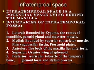 Infratemproal spaceInfratemproal space
 Infratemproal space is aInfratemproal space is a
potential space lying behindpotential space lying behind
the maxilla.the maxilla.
 Boundaries of infratemporalBoundaries of infratemporal
fossa:fossa:
1.1. Lateral: Bounded by Zygoma, the ramus ofLateral: Bounded by Zygoma, the ramus of
mandible, parotid gland and masseter muscle.mandible, parotid gland and masseter muscle.
2.2. Medial: Bounded by superior constrictor muscle,Medial: Bounded by superior constrictor muscle,
Pharyngobasilar fascia, Pterygoid plates.Pharyngobasilar fascia, Pterygoid plates.
3.3. Anterior: The body of the maxilla lies anteriorly.Anterior: The body of the maxilla lies anteriorly.
4.4. Superior: Greater wing of sphenoid.Superior: Greater wing of sphenoid.
5.5. Posterior: Auricular tubercle of the temporalPosterior: Auricular tubercle of the temporal
bone,bone, glenoid fossa and styloid process.glenoid fossa and styloid process.
 