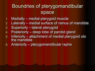 Boundries of pterygomandibularBoundries of pterygomandibular
spacespace
1.1. Medially – medial pterygoid muscleMedially – medial pterygoid muscle
2.2. Laterally – medial surface of ramus of mandibleLaterally – medial surface of ramus of mandible
3.3. Superiorly – lateral pterygoidSuperiorly – lateral pterygoid
4.4. Posteriorly – deep lobe of parotid glandPosteriorly – deep lobe of parotid gland
5.5. Inferiorly – attachment of medial pterygoid otoInferiorly – attachment of medial pterygoid oto
the mandiblethe mandible
6.6. Anteriorly – pterygomandibular rapheAnteriorly – pterygomandibular raphe
 