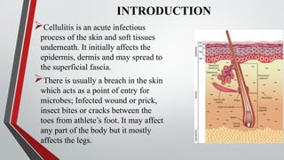 CELLULITIS 1.1.pptx presentation slides. | PPTX