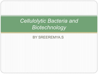 Cellulolytic Bacteria and 
Biotechnology 
BY SREEREMYA.S 
 