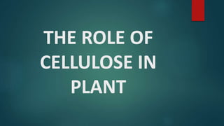 THE ROLE OF
CELLULOSE IN
PLANT
 
