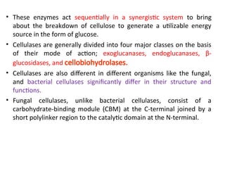 • These enzymes act sequentially in a synergistic system to bring
about the breakdown of cellulose to generate a utilizable energy
source in the form of glucose.
• Cellulases are generally divided into four major classes on the basis
of their mode of action; exoglucanases, endoglucanases, β-
glucosidases, and cellobiohydrolases.
• Cellulases are also different in different organisms like the fungal,
and bacterial cellulases significantly differ in their structure and
functions.
• Fungal cellulases, unlike bacterial cellulases, consist of a
carbohydrate-binding module (CBM) at the C-terminal joined by a
short polylinker region to the catalytic domain at the N-terminal.
 