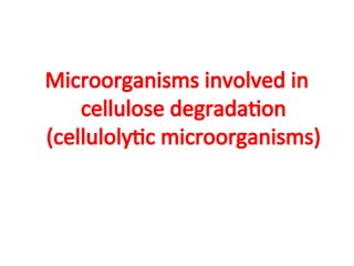 Microorganisms involved in
cellulose degradation
(cellulolytic microorganisms)
 