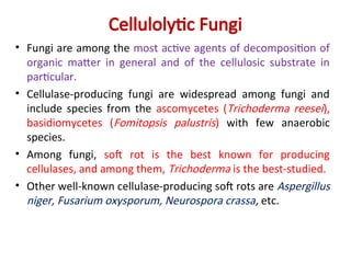 Cellulolytic Fungi
• Fungi are among the most active agents of decomposition of
organic matter in general and of the cellulosic substrate in
particular.
• Cellulase-producing fungi are widespread among fungi and
include species from the ascomycetes (Trichoderma reesei),
basidiomycetes (Fomitopsis palustris) with few anaerobic
species.
• Among fungi, soft rot is the best known for producing
cellulases, and among them, Trichoderma is the best-studied.
• Other well-known cellulase-producing soft rots are Aspergillus
niger, Fusarium oxysporum, Neurospora crassa, etc.
 