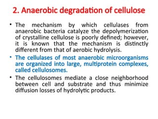 2. Anaerobic degradation of cellulose
• The mechanism by which cellulases from
anaerobic bacteria catalyze the depolymerization
of crystalline cellulose is poorly defined; however,
it is known that the mechanism is distinctly
different from that of aerobic hydrolysis.
• The cellulases of most anaerobic microorganisms
are organized into large, multiprotein complexes,
called cellulosomes.
• The cellulosomes mediate a close neighborhood
between cell and substrate and thus minimize
diffusion losses of hydrolytic products.
 