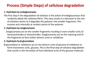 Process (Simple Steps) of cellulose degradation
1. Hydrolysis by endoglucanases
The first step in the degradation of cellulose is the action of endoglucanases that
randomly attack the cellulose fibrils. This step results in a decrease in the size
of cellulose chains as it degrades the polymer into smaller fragments. The
enzyme acts internally at random points of the polymer.
2. Hydrolysis by exoglucanases
Exoglucanases act on the smaller fragments resulting in even smaller units of
tetrasaccharides or disaccharides. Exoglucanases act on the reducing end of
the fragments to form either dimeric units or cellobiose.
3. Hydrolysis by β-glucosidase
β-glucosidase or cellobiose act on the dimeric units of glucose of cellobiose to
form monomeric units, glucose. This is the final step of cellulose degradation
that results in the formation of free individual units of the glucose molecule.
 