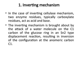 1. Inverting mechanism
• In the case of inverting cellulase mechanism,
two enzyme residues, typically carboxylate
residues, act as acid and base.
• The inverting mechanism is brought about by
the attack of a water molecule on the C1
carbon of the glucose ring in an Sn2 type
displacement reaction, resulting in inversion
of the configuration at the anomeric carbon
C1.
 