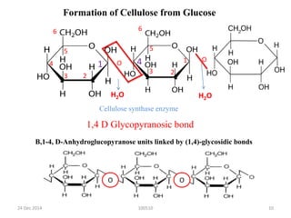 100510
6
1
23
4 1
23
4
6
5 5
H2O
O
H2O
O
O O
1,4 D Glycopyranosic bond
Formation of Cellulose from Glucose
B,1-4, D-Anhydroglucopyranose units linked by (1,4)-glycosidic bonds
Cellulose synthase enzyme
24 Dec 2014 10
 