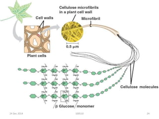 10051024 Dec 2014 24
 