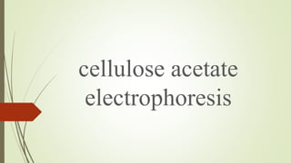 cellulose acetate
electrophoresis
 