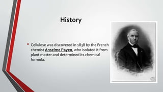 History
• Cellulose was discovered in 1838 by the French
chemist Anselme Payen, who isolated it from
plant matter and determined its chemical
formula.
 