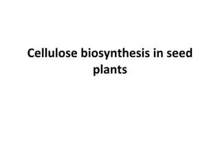 Cellulose biosynthesis in seed plants 