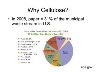 Why Cellulose? <ul><li>In 2008, paper = 31% of the municipal waste stream in U.S. </li></ul>epa.gov 