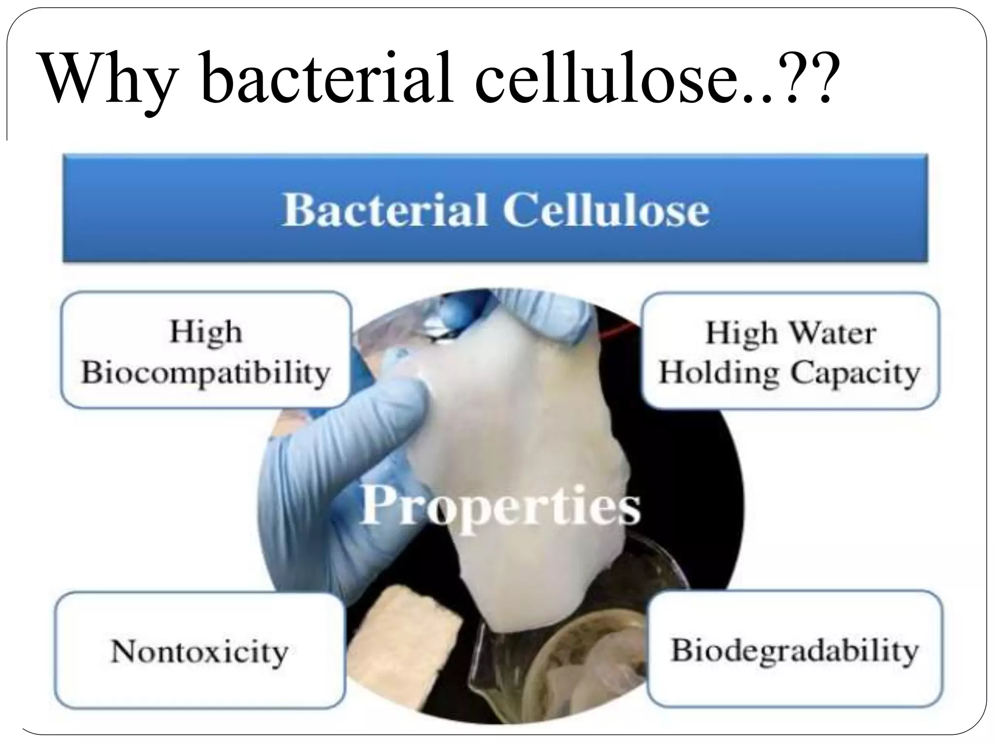 Bacterial Cellulose presentation | PPTX