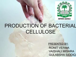 PRODUCTION OF BACTERIAL
CELLULOSE
PRESENTED BY:
RONIT VERMA
VAISHALI MISHRA
GULABSHA SIDDIQU
 