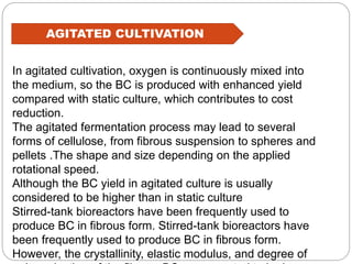 AGITATED CULTIVATION
In agitated cultivation, oxygen is continuously mixed into
the medium, so the BC is produced with enhanced yield
compared with static culture, which contributes to cost
reduction.
The agitated fermentation process may lead to several
forms of cellulose, from fibrous suspension to spheres and
pellets .The shape and size depending on the applied
rotational speed.
Although the BC yield in agitated culture is usually
considered to be higher than in static culture
Stirred-tank bioreactors have been frequently used to
produce BC in fibrous form. Stirred-tank bioreactors have
been frequently used to produce BC in fibrous form.
However, the crystallinity, elastic modulus, and degree of
 