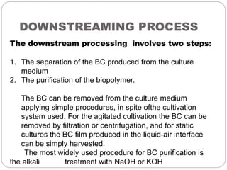 DOWNSTREAMING PROCESS
The downstream processing involves two steps:
1. The separation of the BC produced from the culture
medium
2. The purification of the biopolymer.
The BC can be removed from the culture medium
applying simple procedures, in spite ofthe cultivation
system used. For the agitated cultivation the BC can be
removed by filtration or centrifugation, and for static
cultures the BC film produced in the liquid-air interface
can be simply harvested.
The most widely used procedure for BC purification is
the alkali treatment with NaOH or KOH
 