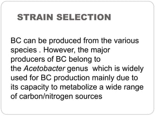 STRAIN SELECTION
BC can be produced from the various
species . However, the major
producers of BC belong to
the Acetobacter genus which is widely
used for BC production mainly due to
its capacity to metabolize a wide range
of carbon/nitrogen sources
 