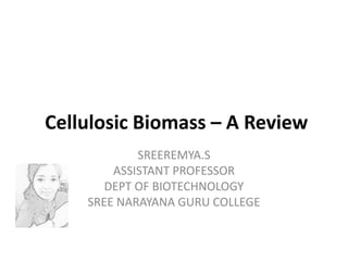 Cellulosic Biomass – A Review
SREEREMYA.S
ASSISTANT PROFESSOR
DEPT OF BIOTECHNOLOGY
SREE NARAYANA GURU COLLEGE
 