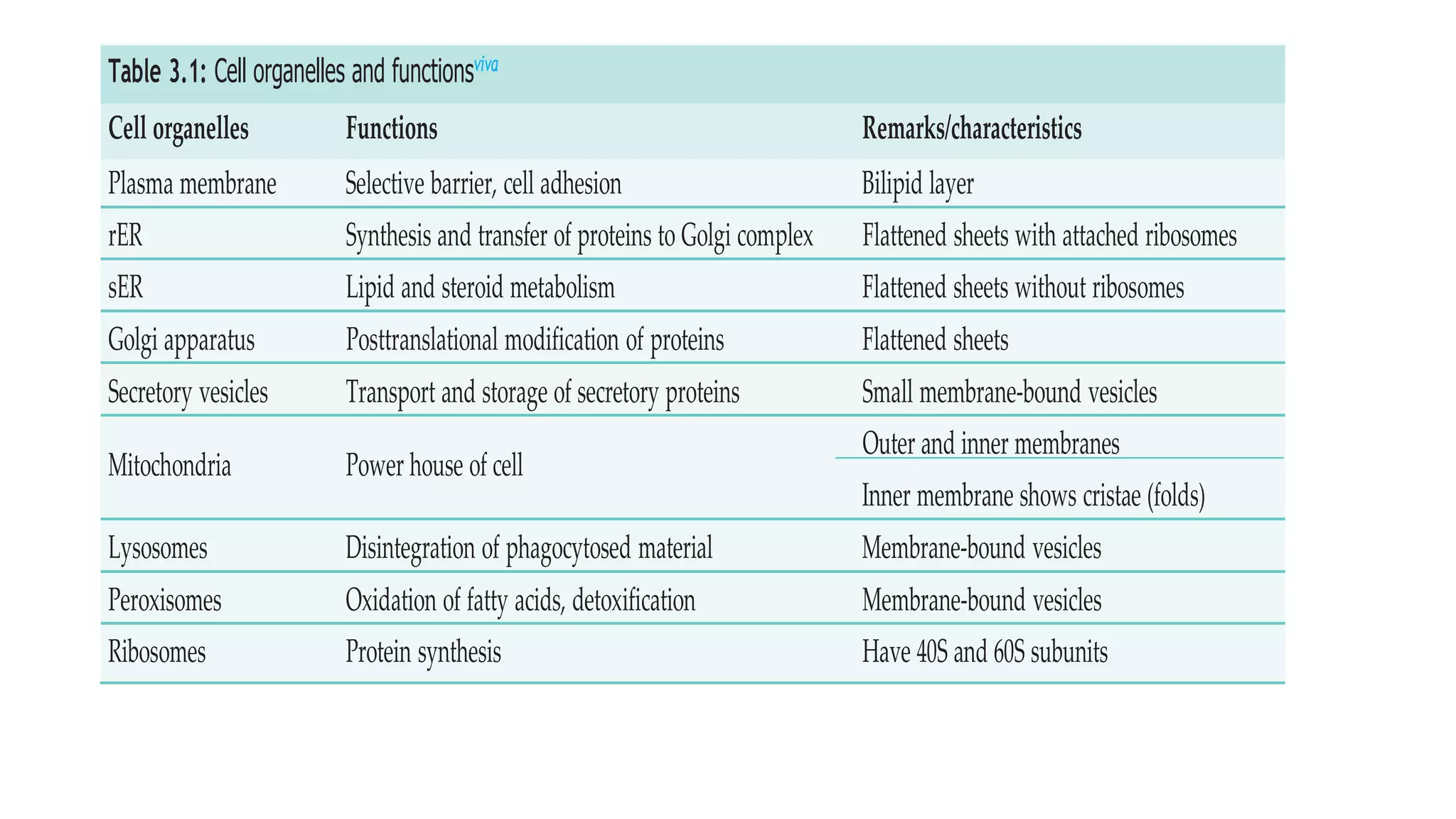 Table 3.1: Cell organelles and functionsviva
Cell organelles Functions Remarks/characteristics
Plasma membrane Selective barrier, cell adhesion Bilipid layer
rER Synthesis and transfer of proteins to Golgi complex Flattened sheets with attached ribosomes
sER Lipid and steroid metabolism Flattened sheets without ribosomes
Golgi apparatus Posttranslational modification of proteins Flattened sheets
Secretory vesicles Transport and storage of secretory proteins Small membrane-bound vesicles
Mitochondria Power house of cell
Outer and inner membranes
Inner membrane shows cristae (folds)
Lysosomes Disintegration of phagocytosed material Membrane-bound vesicles
Peroxisomes Oxidation of fatty acids, detoxification Membrane-bound vesicles
Ribosomes Protein synthesis Have 40S and 60S subunits