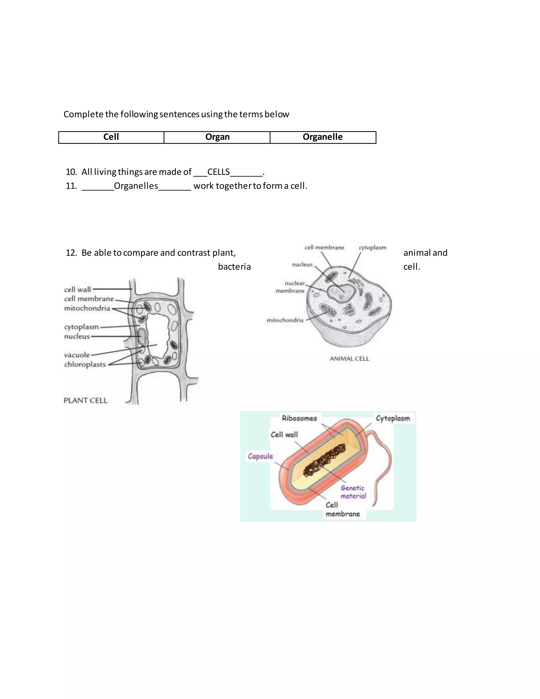 Complete the followingsentencesusingthe termsbelow
Cell Organ Organelle
10. All livingthingsare made of ___CELLS_______.
11. _______Organelles_______ work togethertoforma cell.
12. Be able tocompare and contrast plant, animal and
bacteria cell.
 