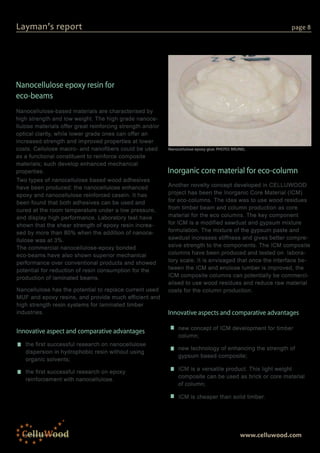 Layman Report Example CELLUWOOD Project Layman's Report | PDF