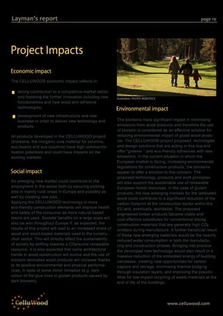 Layman Report Example CELLUWOOD Project Layman's Report | PDF