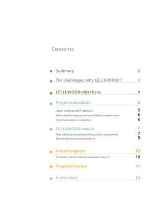 Layman Report Example CELLUWOOD Project Layman's Report | PDF
