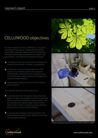Layman Report Example CELLUWOOD Project Layman's Report | PDF