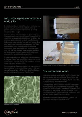 Layman Report Example CELLUWOOD Project Layman's Report | PDF