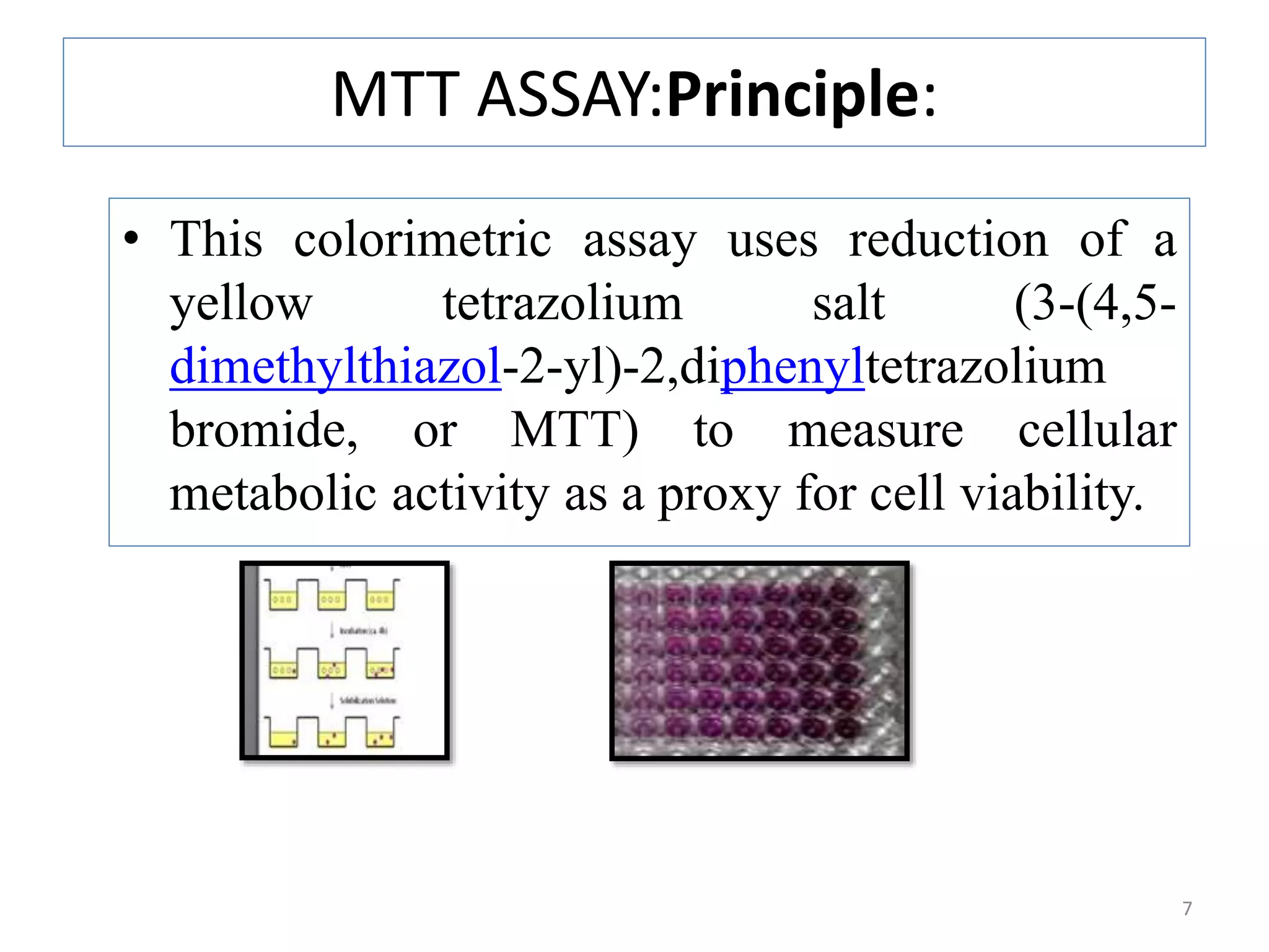 MTT ASSAY:Principle:
• This colorimetric assay uses reduction of a
yellow tetrazolium salt (3-(4,5-
dimethylthiazol-2-yl)-2,diphenyltetrazolium
bromide, or MTT) to measure cellular
metabolic activity as a proxy for cell viability.
7
 