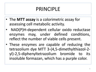 PRINCIPLE
• The MTT assay is a colorimetric assay for
assessing cell metabolic activity.
• NAD(P)H-dependent cellular oxido reductase
enzymes may, under defined conditions,
reflect the number of viable cells present.
• These enzymes are capable of reducing the
tetrazolium dye MTT 3-(4,5-dimethylthiazol-2-
yl)-2,5-diphenyltetrazolium bromide to its
insoluble formazan, which has a purple color.
6
 
