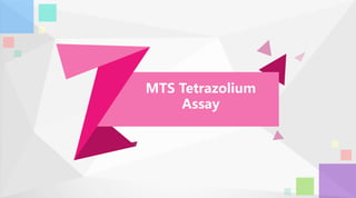 MTS Tetrazolium
Assay
 