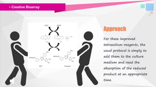 · Creative Bioarray
Approach
For these improved
tetrazolium reagents, the
usual protocol is simply to
add them to the culture
medium and read the
absorption of the reduced
product at an appropriate
time.
 