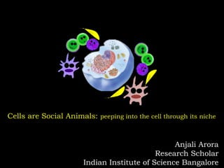 Cells are Social Animals: peeping into the cell through its niche
Anjali Arora
Research Scholar
Indian Institute of Science Bangalore
 