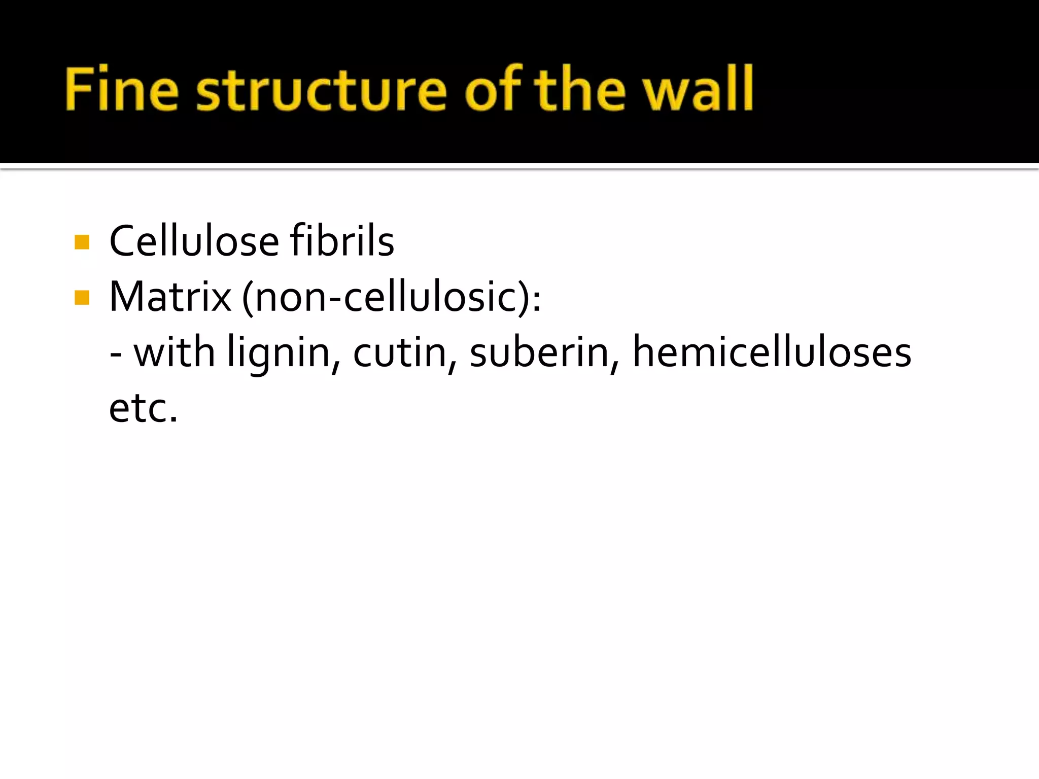 Fine structure of the wallCellulose fibrilsMatrix (non-cellulosic):	- with lignin, cutin, suberin, hemicelluloses etc. 