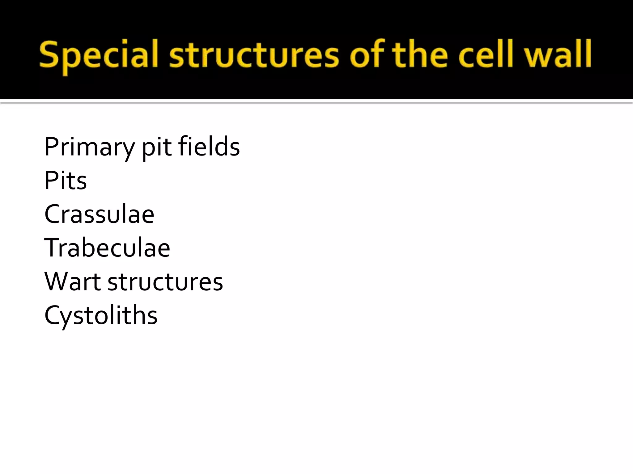 Special structures of the cell wallPrimary pit fieldsPitsCrassulaeTrabeculaeWart structuresCystoliths