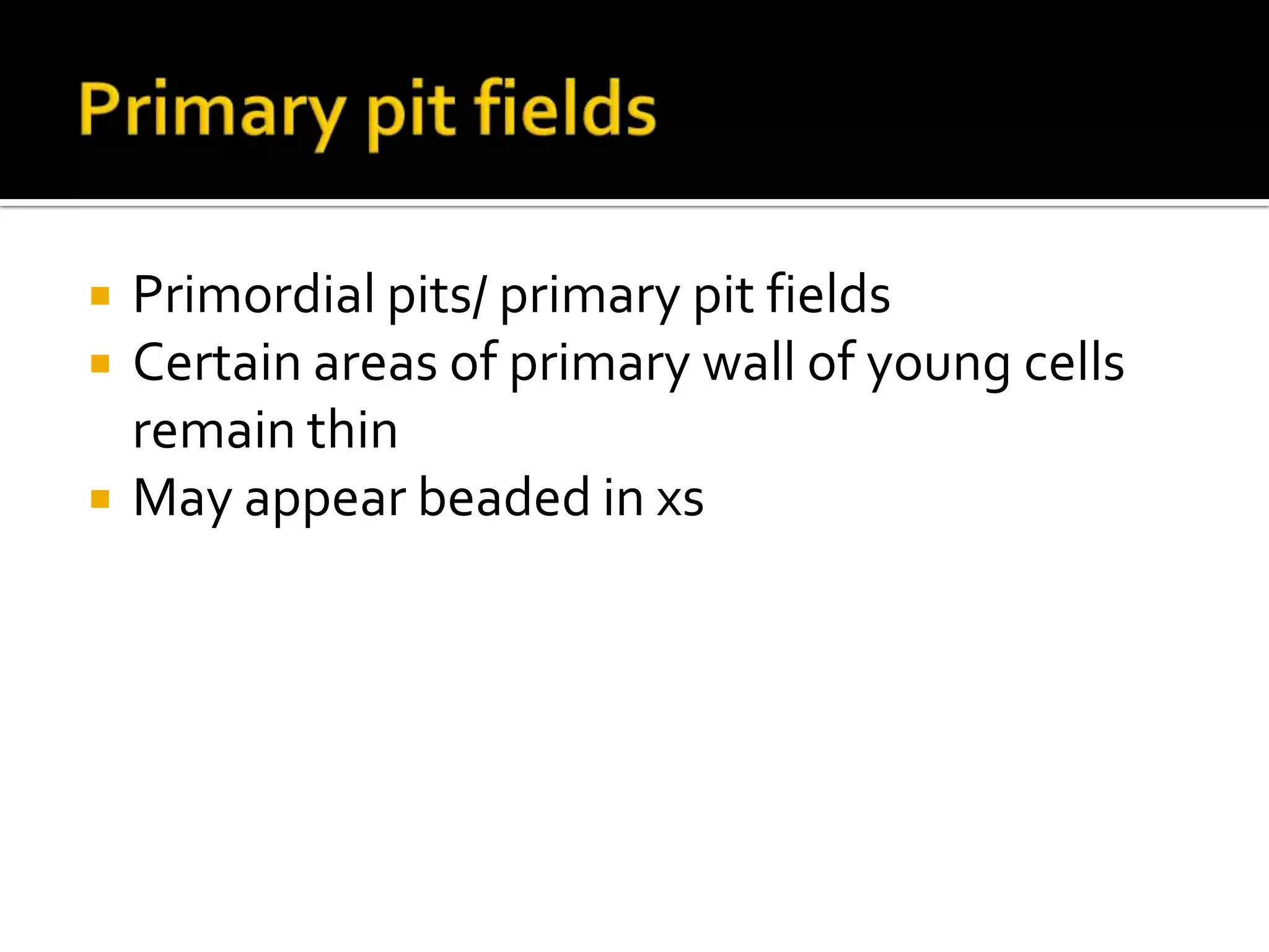 Primary pit fieldsPrimordial pits/ primary pit fieldsCertain areas of primary wall of young cells remain thinMay appear beaded in xs