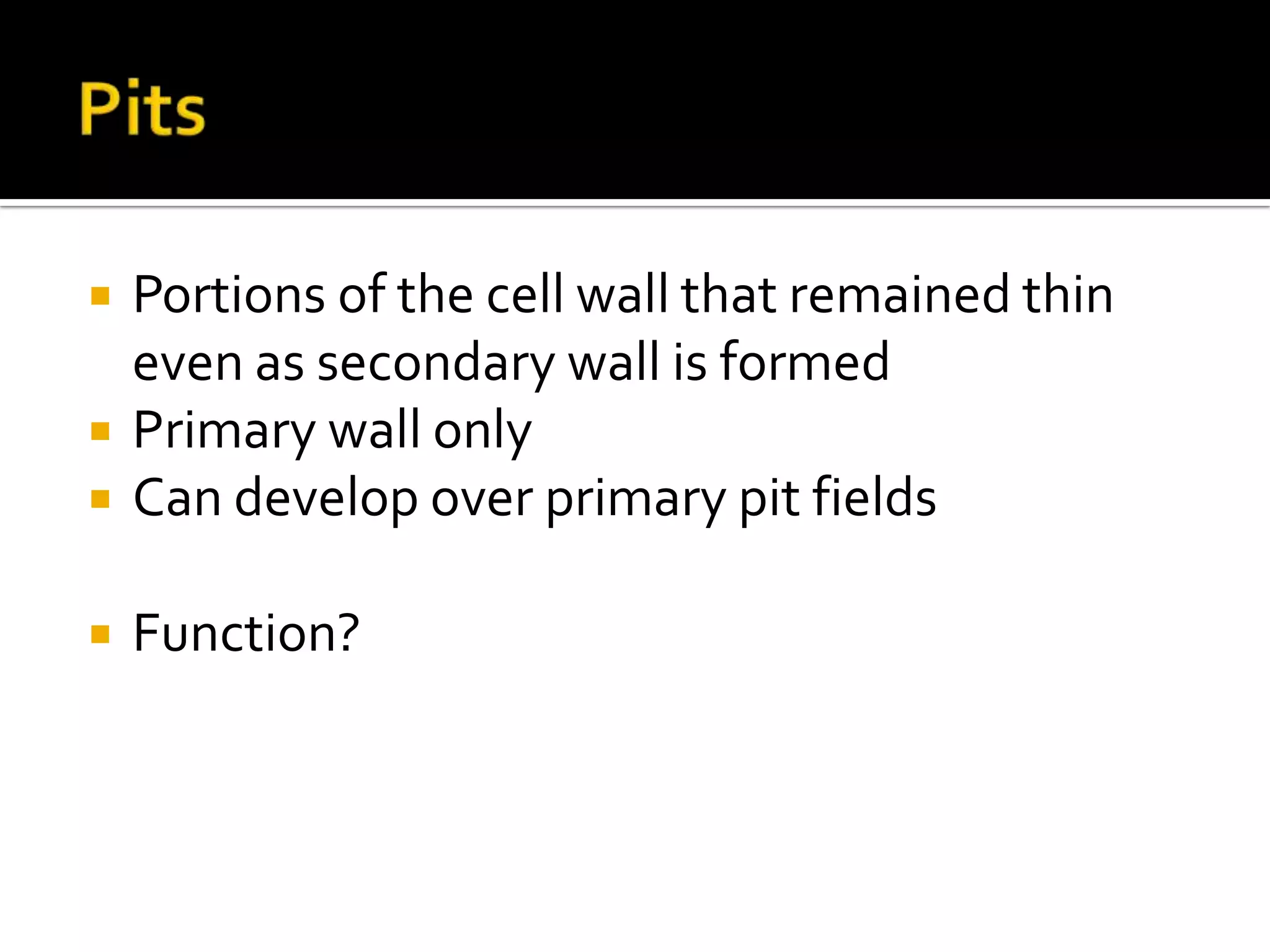 PitsPortions of the cell wall that remained thin  even as secondary wall is formedPrimary wall onlyCan develop over primary pit fieldsFunction?
