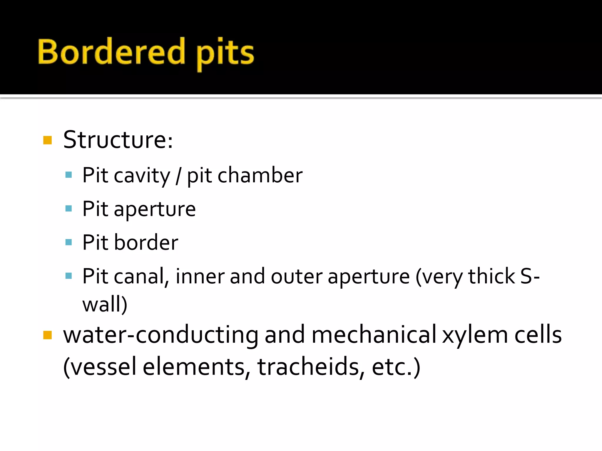 Bordered pitsStructure:Pit cavity / pit chamberPit aperturePit borderPit canal, inner and outer aperture (very thick S-wall)water-conducting and mechanical xylem cells (vessel elements, tracheids, etc.)