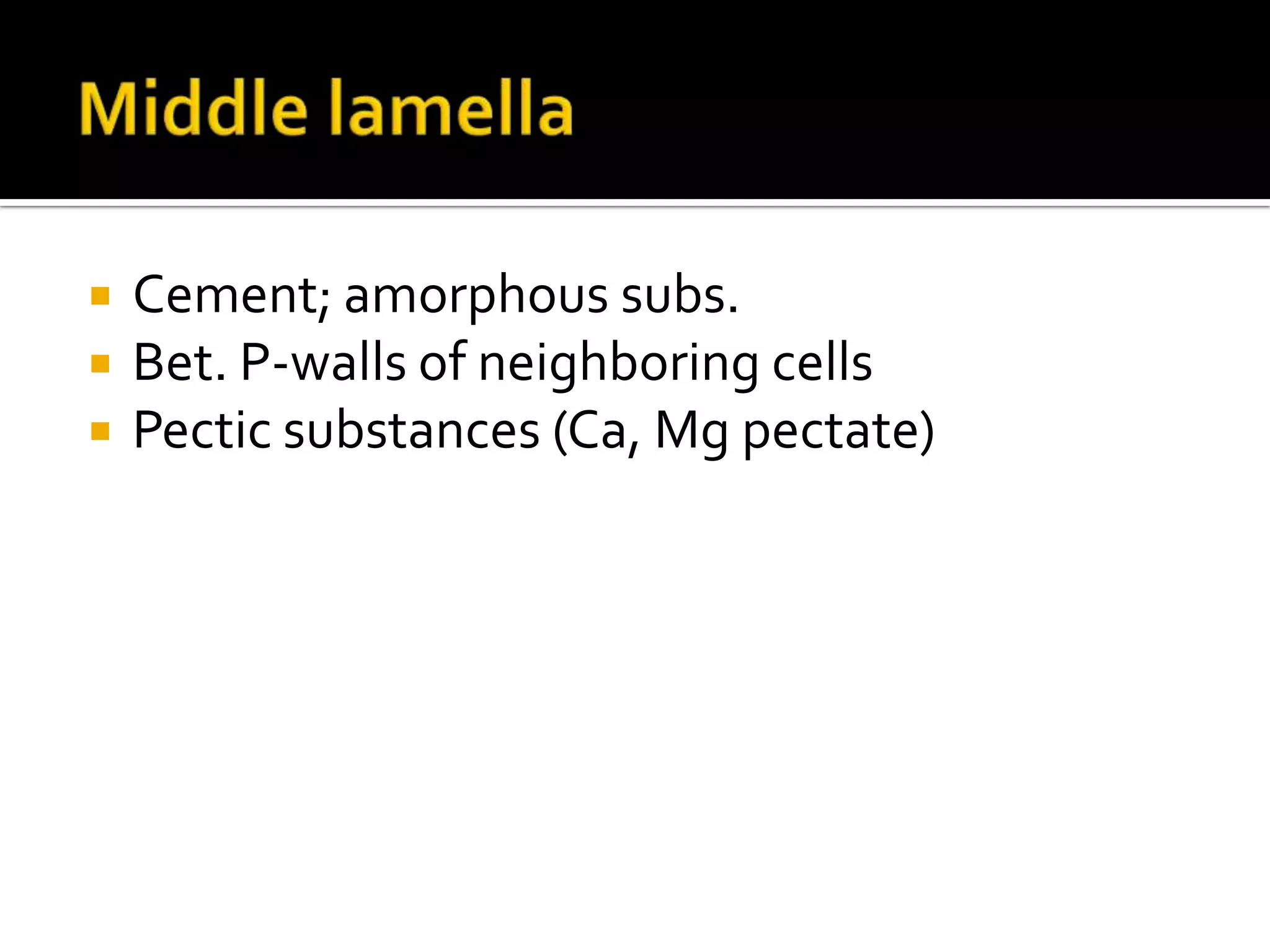 Middle lamellaCement; amorphous subs.Bet. P-walls of neighboring cellsPectic substances (Ca, Mg pectate)