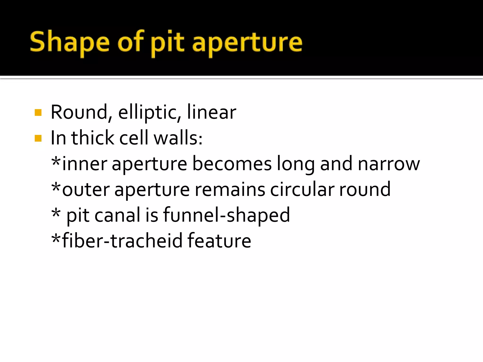 Shape of pit apertureRound, elliptic, linearIn thick cell walls: 	*inner aperture becomes long and narrow	*outer aperture remains circular round	* pit canal is funnel-shaped	*fiber-tracheid feature