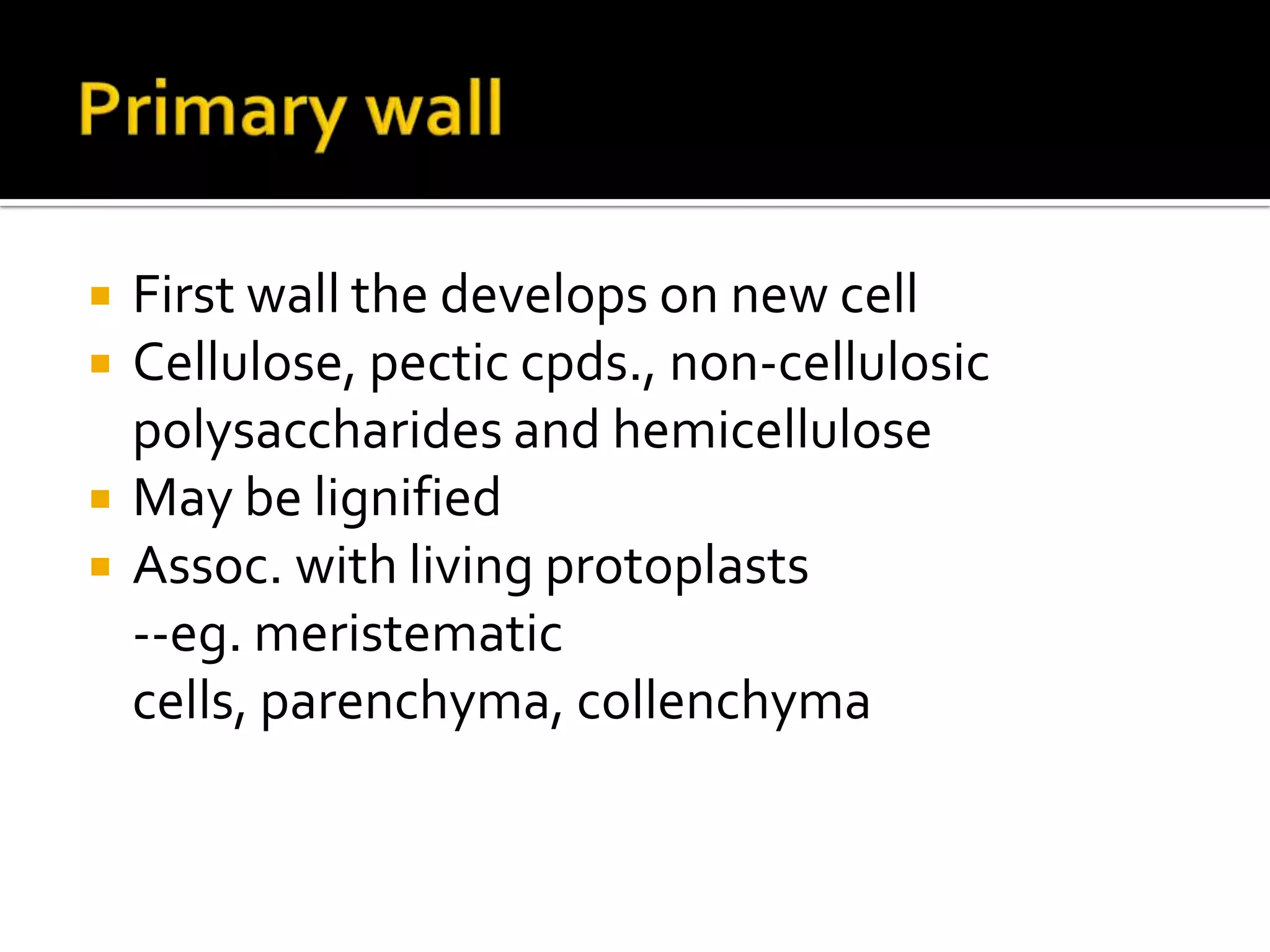 Primary wallFirst wall the develops on new cellCellulose, pecticcpds., non-cellulosic polysaccharides and hemicelluloseMay be lignifiedAssoc. with living protoplasts	--eg. meristematic cells, parenchyma, collenchyma
